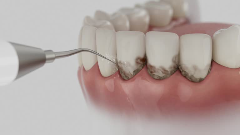 Reliable Dental contractor in Saint John's University, MN by Dentist Open Now
